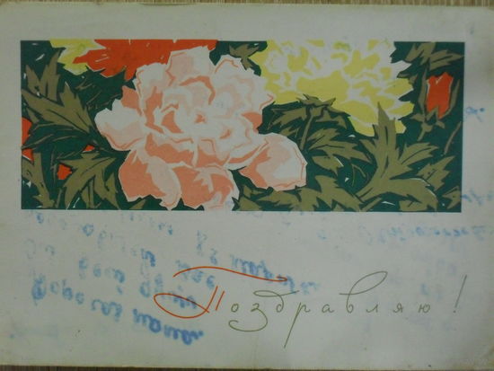 ПОДПИСАННАЯ ОТКРЫТКА ПРОШЕДШАЯ ПОЧТУ СССР.ПОЗДРАВЛЯЮ! худ. А.В. ПЛЕТНЕВ. 1966 год.