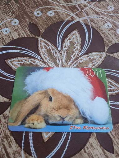 Кролик,украина,2011