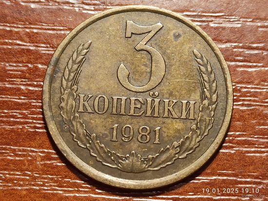 3 копейки 1981