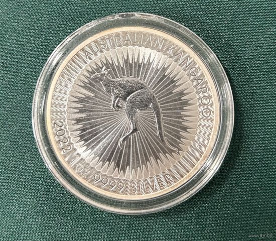 Кенгуру Австралия