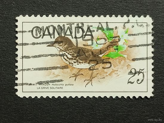 Канада 1969. Птицы. Дрозд-отшельник