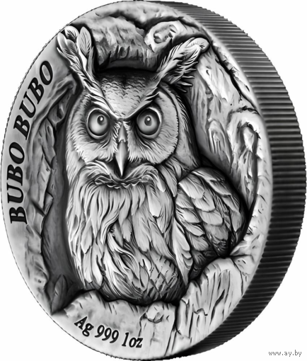 Самоа 2 доллара 2024г. "Филин Bubo Bubo". Монета в капсуле; подарочном футляре; номерной сертификат; коробка. СЕРЕБРО 31,10гр.(1 oz).