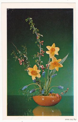 Открытка 1976 (223)