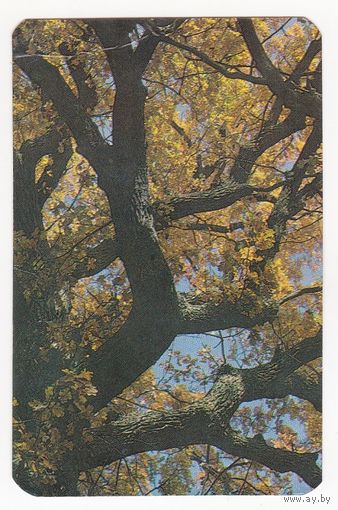 Календарик 1989 (37)