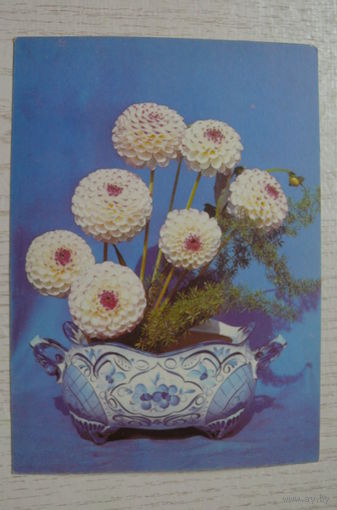 Суханов В., Цветы, 1991, 1992, чистая.