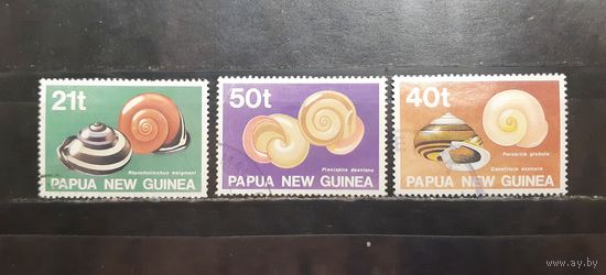 Папуа Новая Гвинея. Фауна. Ракушки (1338)