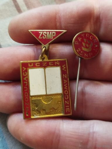 2 тяжёлых значка,союз социалистической молодежи Польши