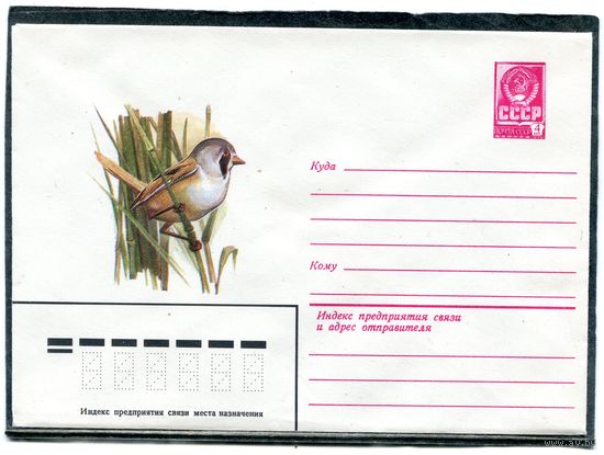СССР 1980. ХМК. Конверт. Фауна. Усатая синица