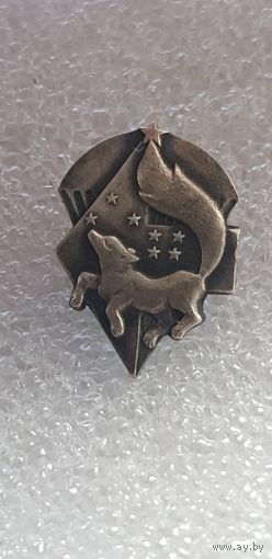Фрачник 5 бригада спецназа Беларусь