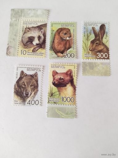 Беларусь 2008  5 м дик.животные