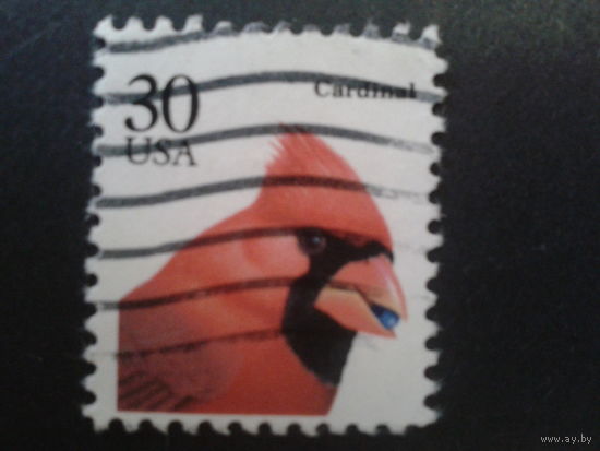 США 1991стандарт, птица