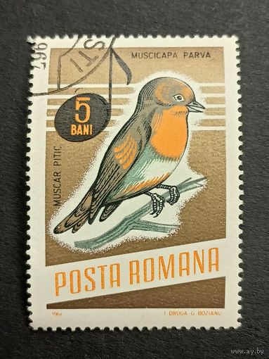 Румыния 1966. Певчие птицы