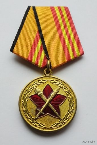 Министерство обороны РФ. За достижения в военно-политической работе. (1)