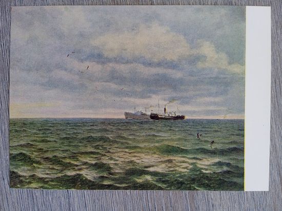 1956. флот. Жигалов. В Белом море