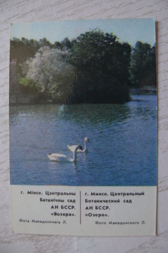 Календарик, 1987, Минск. Центральный Ботанический сад АН БССР.