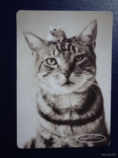 Календарик 2003 г.  Издательство "Открытое письмо".