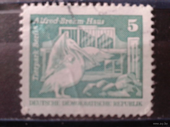 ГДР 1980 Стандарт, Берлинский зоопарк, пеликан