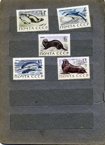 СССР, 1971,  МОРСКИЕ** МЛЕКОПИТАЮЩИЕ серия 5м  чистая**