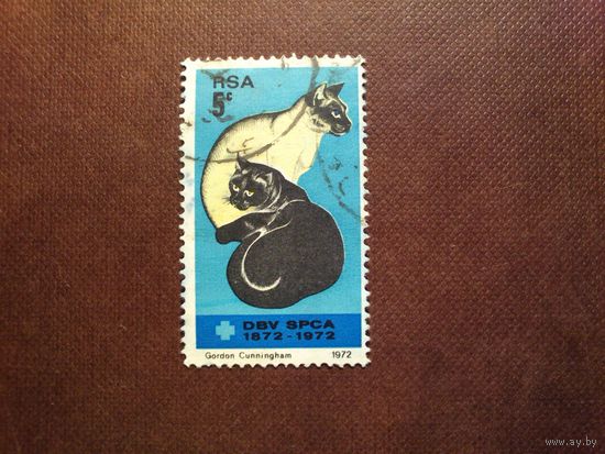 Южно-Африканская республика 1972 г.Домашние кошки./46а/