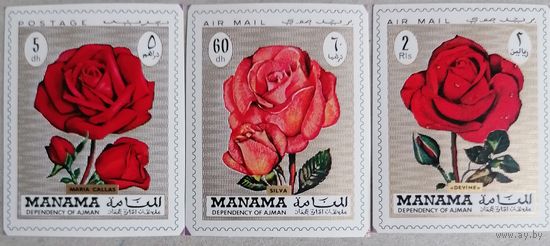 Манама. Розы.