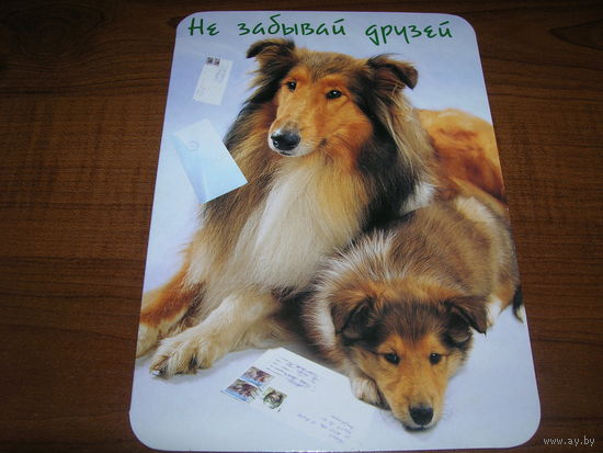 Не забывай друзей Собаки Колли 2001 год Двойная подписана