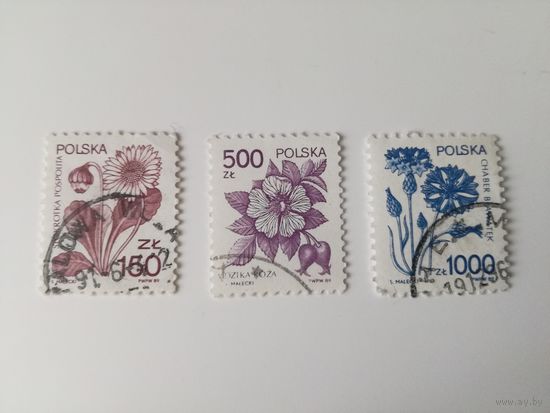 Польша 1989. Стандарты