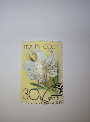 Марки СССР 1989 Цветы Лилия Тайгер 30к.
