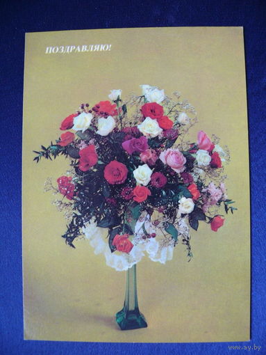Фото Шварца Л., Поздравляю! 1984, чистая.