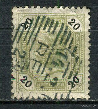 Австро-Венгрия - 1891 - Император Франц Иосиф - 20Kr - [Mi.63A] - 1 марка. Гашеная.  (Лот 21EL)-T2P8