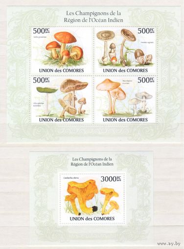 [429] Коморы 2010. Грибы. МАЛЫЙ ЛИСТ+БЛОК.