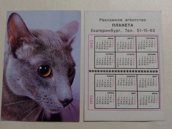 Карманный календарик. Котик.1992 год