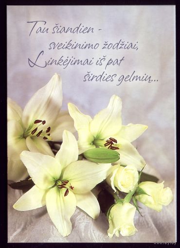 Литва Цветы