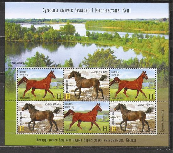 ФФ1 Беларусь 2017 Лошади