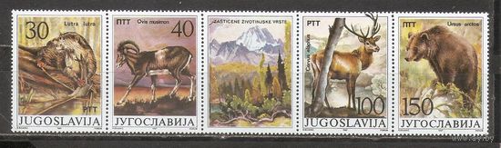 ФФ1 Югославия 1987 Фауна