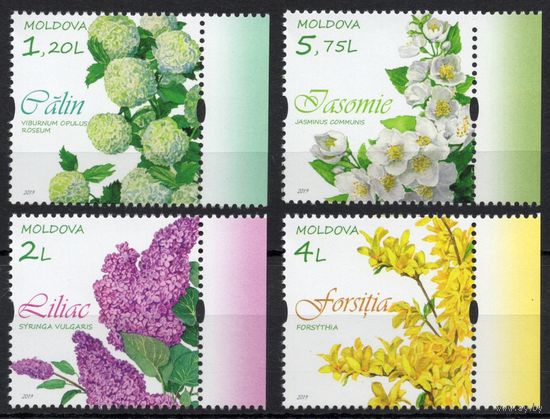 Молдова 2019. Флора Цветущие деревья 4 марки (698)