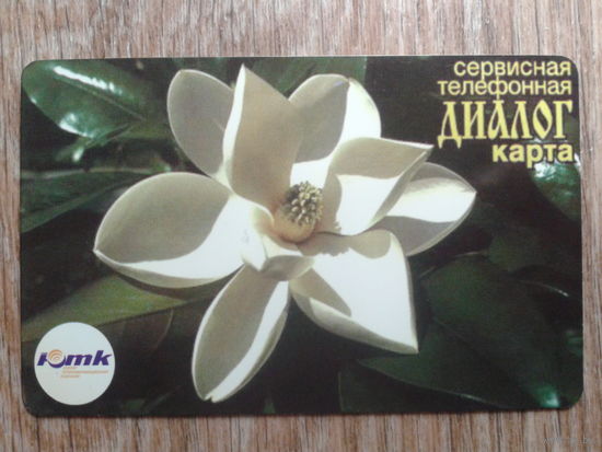 Россия 2006 Кубань, Сочи