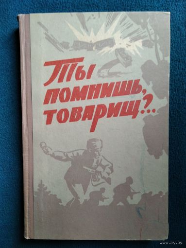Ты помнишь, товарищ?.. Воспоминания бойцов и командиров тульских партизанских отрядов 1966 год