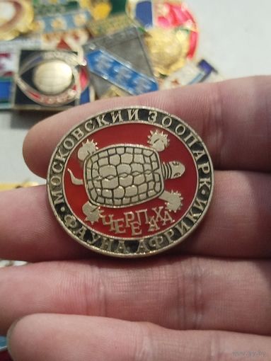 Московский зоопарк,черепаха,крупный