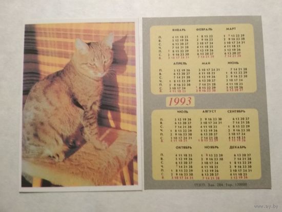 Карманный календарик. Котик. 1993 год