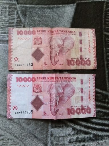 Танзания 2 банкноты по 10 000 шиллингов ходячка