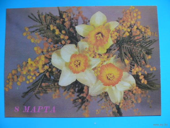 Дергилев И., 8 Марта, 1989, чистая.