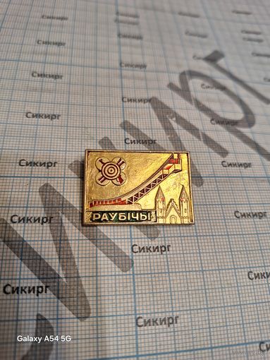 Значок Раубичи
