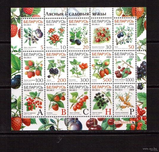 Беларусь-2004, (Мих.513-528) , Флора Стандарт (ягоды) ЛИСТ**