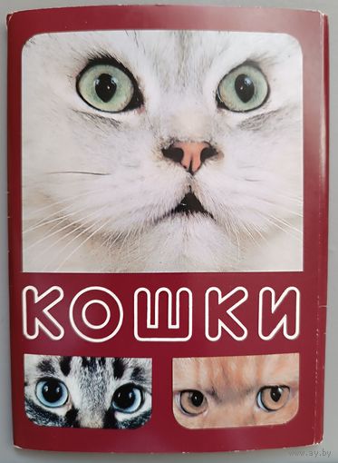 Кошки. Набор открыток, 18 штук, 1989г.