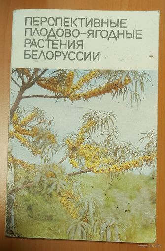 ПЕРСПЕКТИВНЫЕ ПЛОДОВО-ЯГОДНЫЕ РАСТЕНИЯ БЕЛОРУССИИ