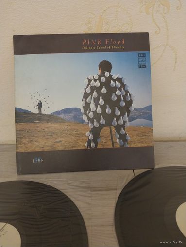 Pink Floyd / Пинк Флойд С РУБЛЯ.