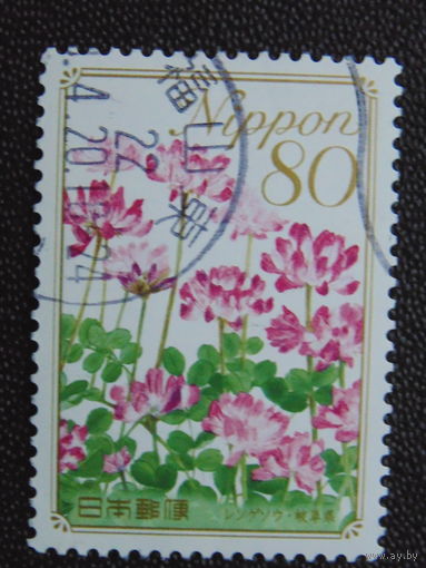 Япония. Цветы.