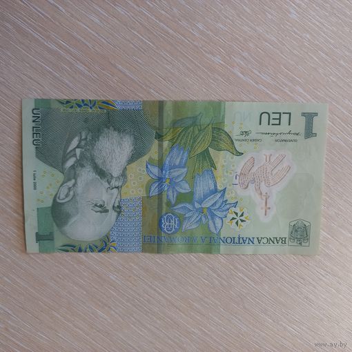 1 лей 2005 Румыния