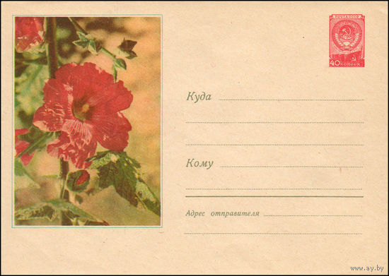 Художественный маркированный конверт СССР N 621 (15.01.1958) Фото цветка петунии