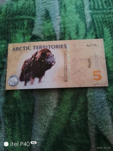 Арктик 5